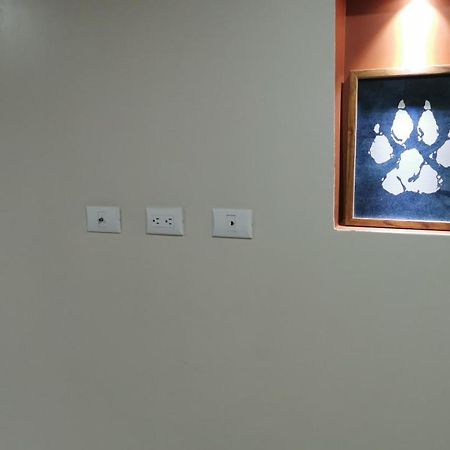 阿拉胡埃拉Apartamento H Gonzalez 14公寓 外观 照片
